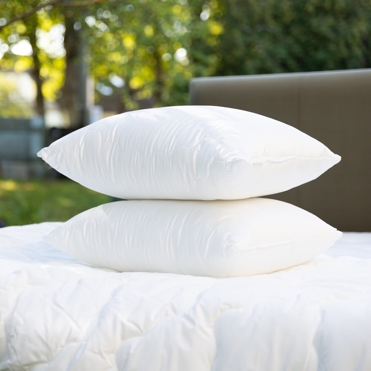 Pillow Lux 50x60 500g