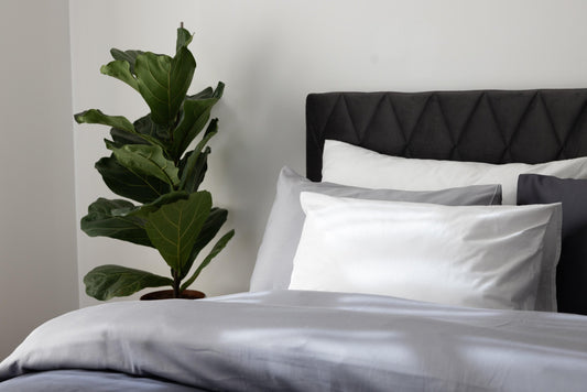 Three gift ideas for family or friends